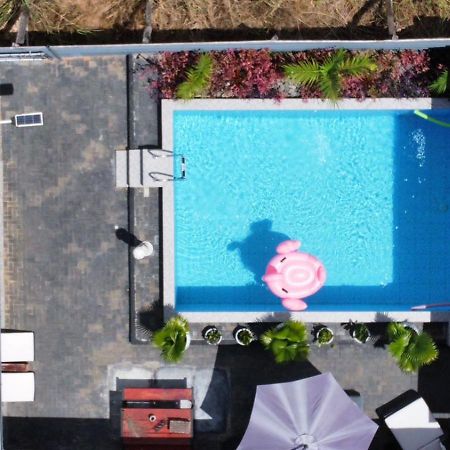 Tropical Appartement Paramaribo Dış mekan fotoğraf